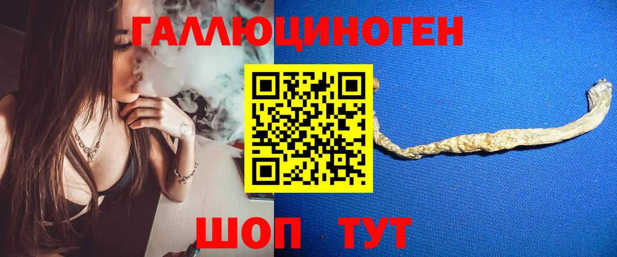 Псилоцибиновые грибы GOLDEN TEACHER  Вход с VPN  Владивосток 