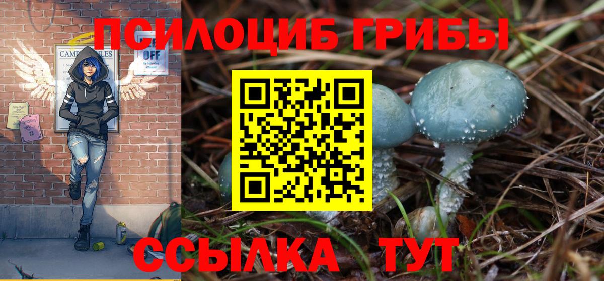 Галлюциногенные грибы Cubensis Владивосток